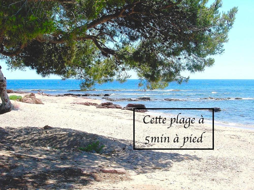 Appartement Plage Et Nature Saint-Raphaël Exteriér fotografie